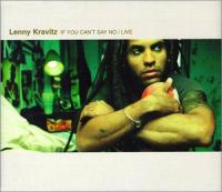 If You Can't Say No (Lenny Kravitz)